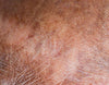 Concern image