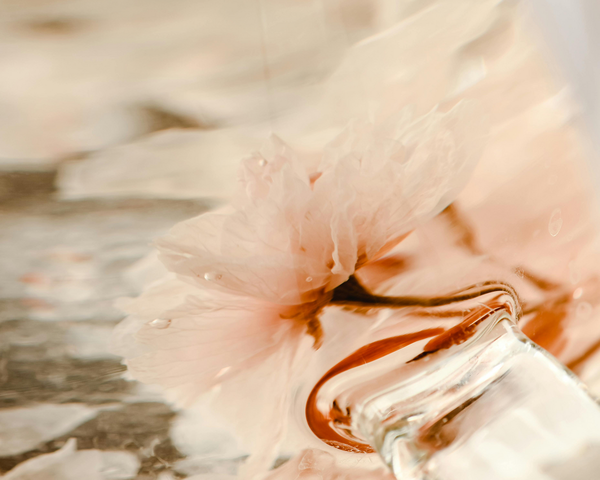 Intentional Japanese Botanicals